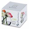 Paşabahçe 43417 Flora Cam Vazo Balık Fanusu 825 Cc