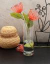 Paşabahçe 43767 Botanica Cam Vazo 26 Cm